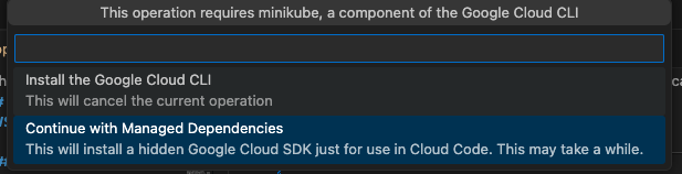 Cloud Code Dependencies Install